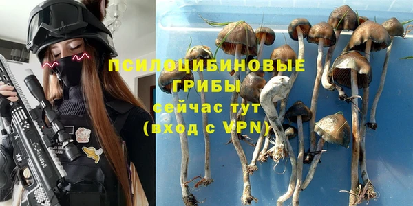ПСИЛОЦИБИНОВЫЕ ГРИБЫ Нязепетровск