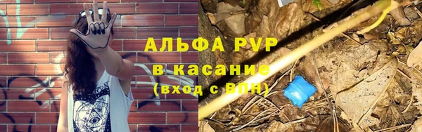 молекула духа Новокубанск