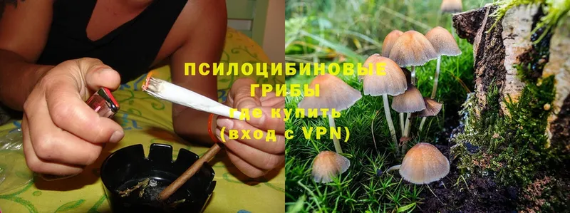 Галлюциногенные грибы Psilocybine cubensis  МЕГА вход  Руза  даркнет сайт 